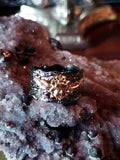 Ancient Egyptian Scarab Spellbound Ring of Rebirth and Protection