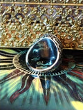 🦇 Vesariel Alien Vampire Djinn Hybrid Magickal Transformation Ring 🦇