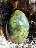 Dimensional Guardian Dragon Blood Jasper Shield of the Ages