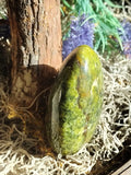Dimensional Guardian Dragon Blood Jasper Shield of the Ages