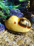 Dragon’s Heart Septarian Jasper Core for Earthly Power