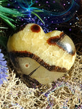 Dragon’s Heart Septarian Jasper Core for Earthly Power