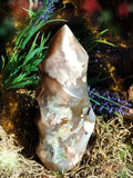 Ancient Vortex Moss Agate Spiral for Timeless Energy Flow