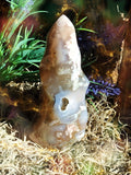 Ancient Vortex Moss Agate Spiral for Timeless Energy Flow