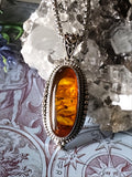 Amber Shield of Ancestral Power Spellbound Talisman