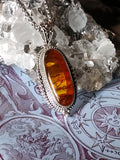 Amber Shield of Ancestral Power Spellbound Talisman