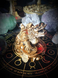 DRAGON TURTLE OF THE TEN THOUSAND COINS Wealth, Power & Lasting Legacy TALISMAN