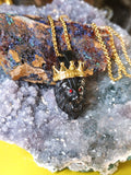 LION KINGDOM TALISMAN RISE AND RULE LIKE A BOSS