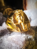 Pharaoh of the Immortal Vampire Sovereign Elite Mind Control Domination