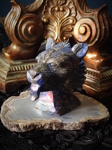 THE 💫DREAMKEEPER WOLF OF THE ASTRAL GATE 🌙