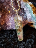THE ALCHEMIST’S GARDEN Renewal, Abundance & Transformation