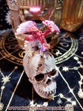 THE MYSTIC DRAGON SKULL Enchanted Box