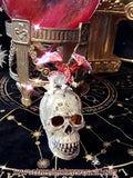 THE MYSTIC DRAGON SKULL Enchanted Box